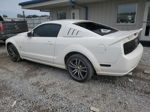 2008 Ford Mustang Gt White vin: 1ZVHT82H885191478