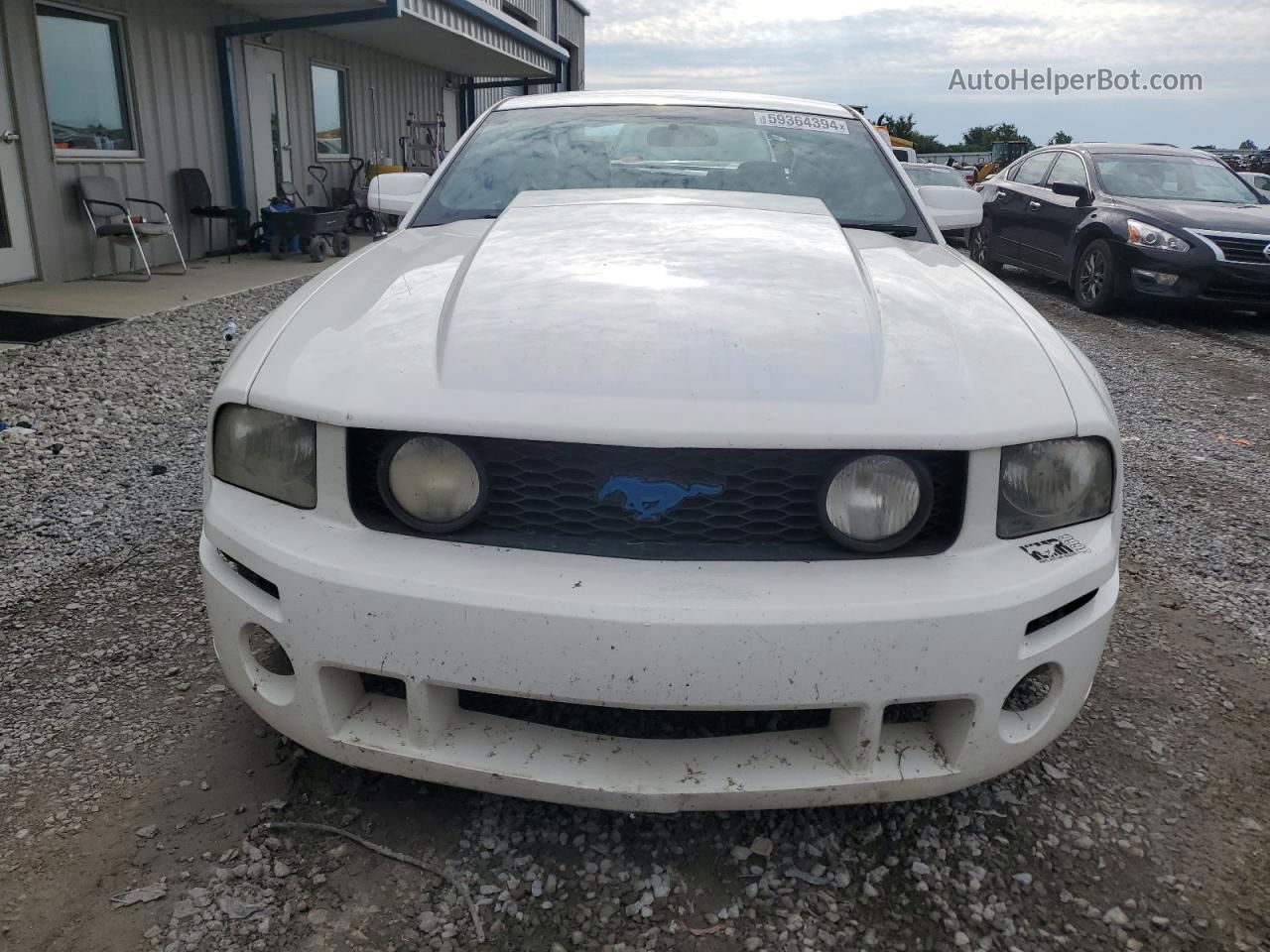 2008 Ford Mustang Gt White vin: 1ZVHT82H885191478