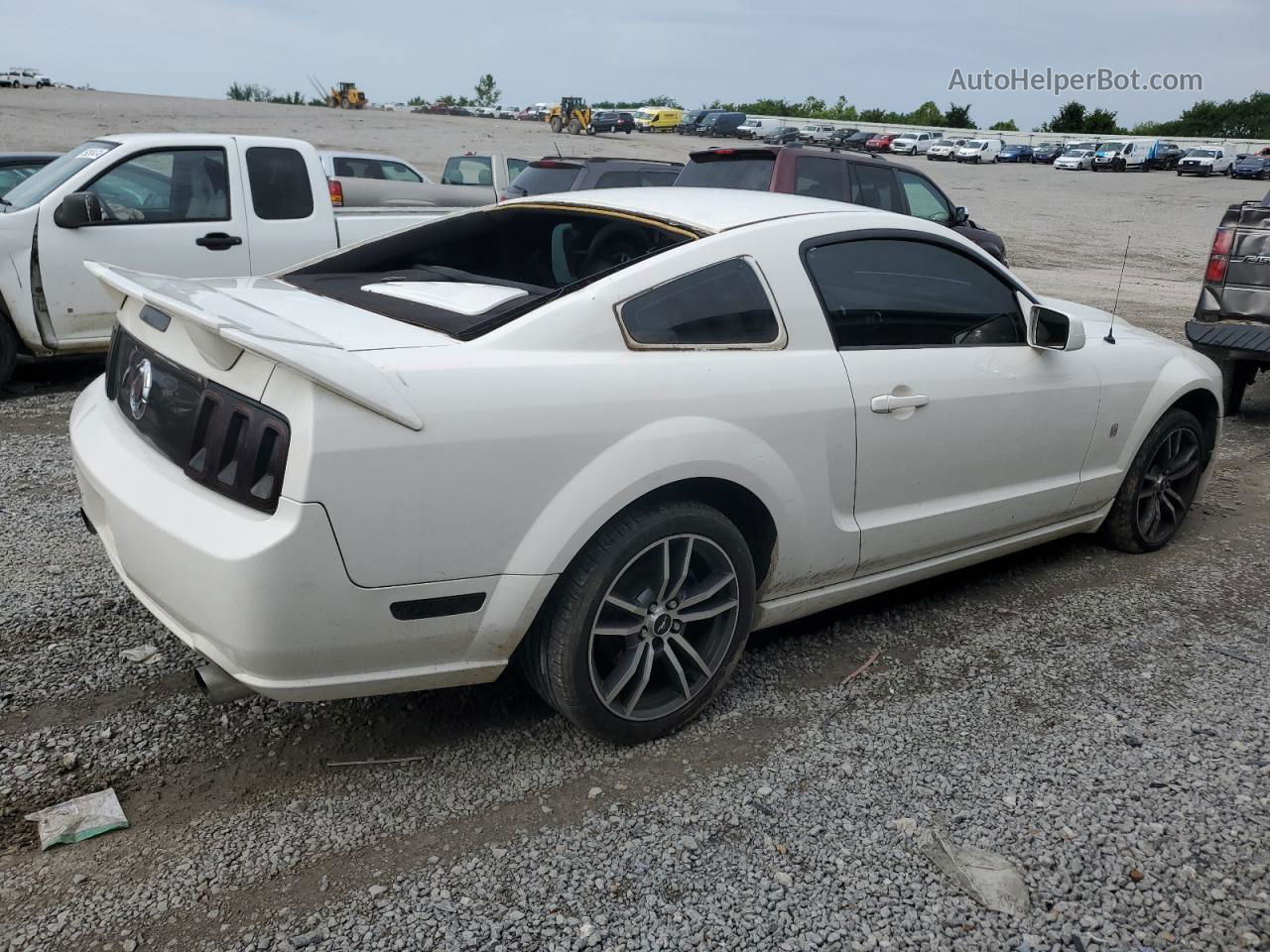 2008 Ford Mustang Gt White vin: 1ZVHT82H885191478