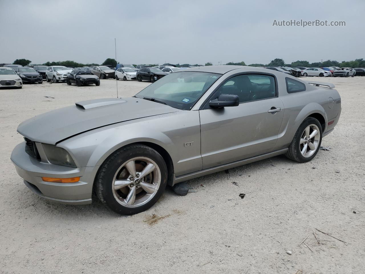 2008 Ford Mustang Gt Серебряный vin: 1ZVHT82H985171465