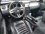 2008 Ford Mustang Gt Серебряный vin: 1ZVHT82H985171465