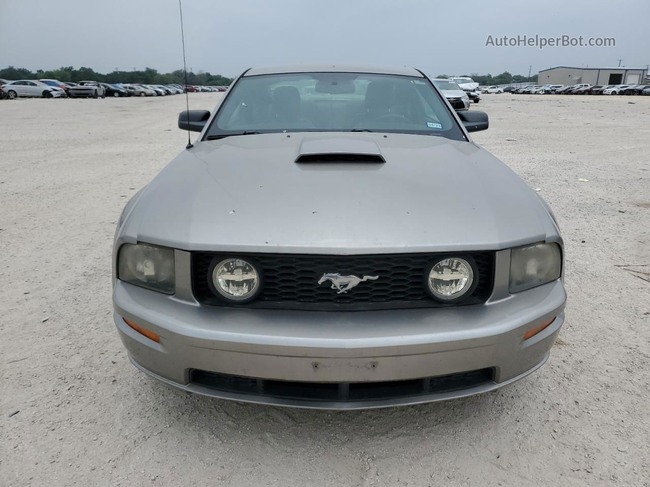 2008 Ford Mustang Gt Серебряный vin: 1ZVHT82H985171465