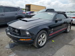 2008 Ford Mustang  Black vin: 1ZVHT84N185174203