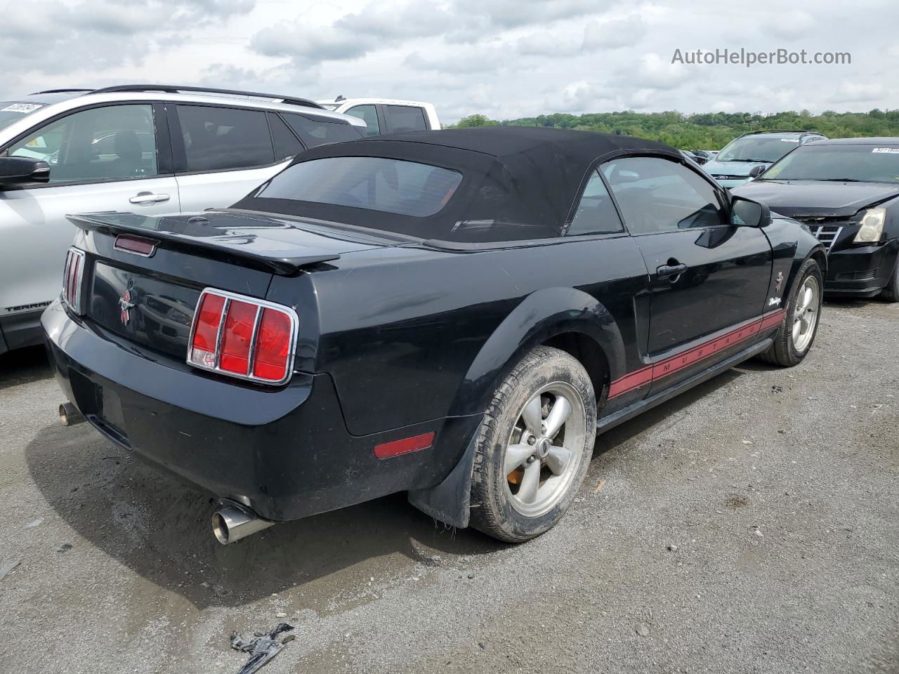 2008 Ford Mustang  Black vin: 1ZVHT84N185174203