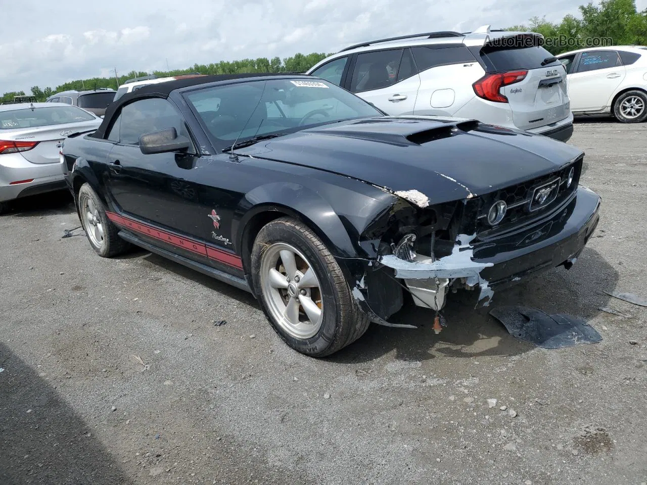 2008 Ford Mustang  Черный vin: 1ZVHT84N185174203