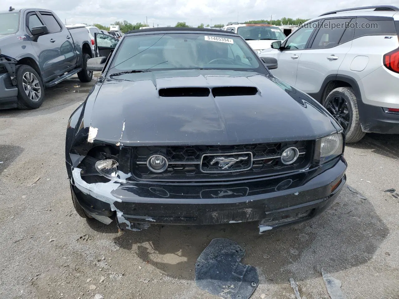 2008 Ford Mustang  Black vin: 1ZVHT84N185174203