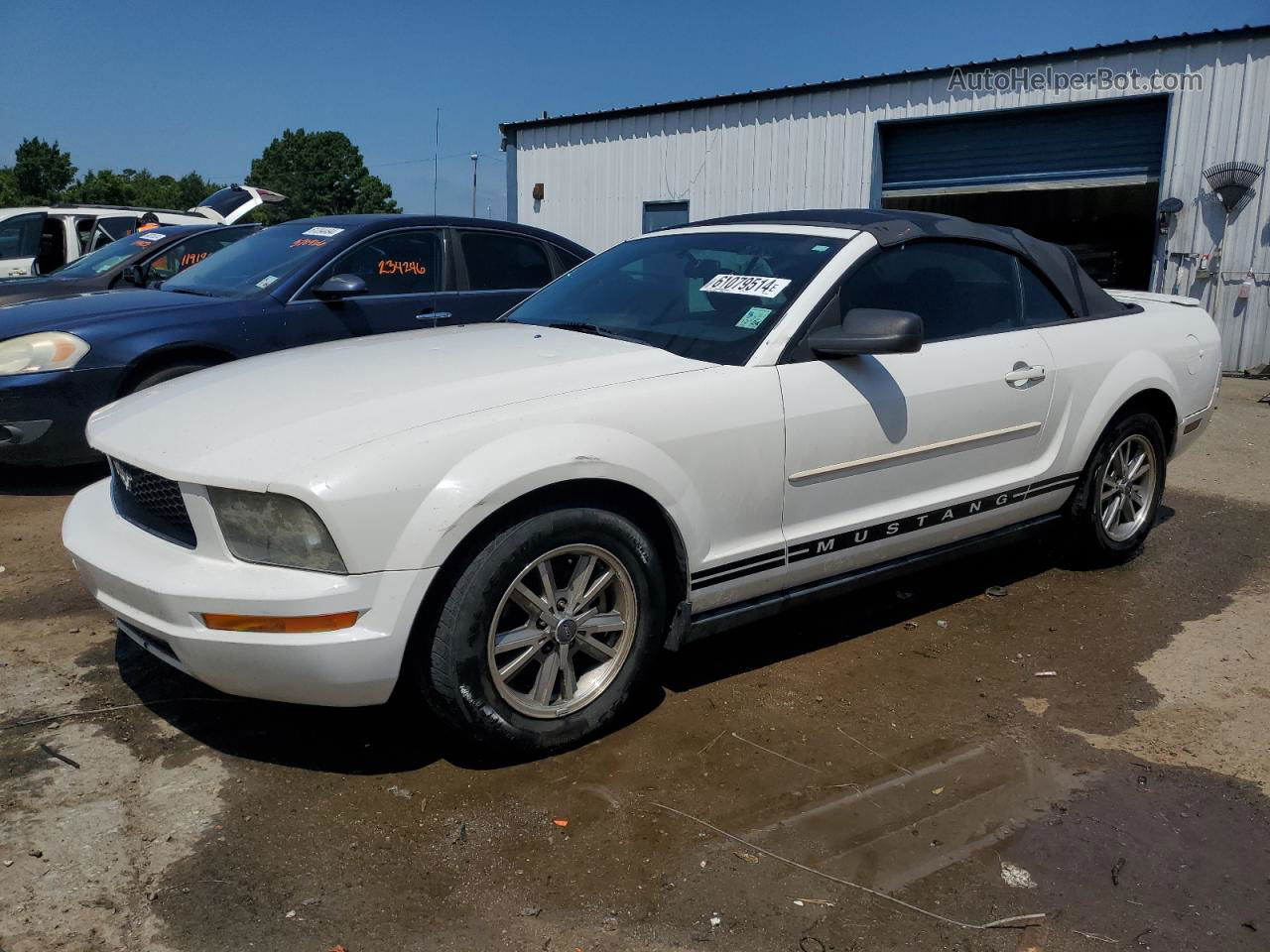 2008 Ford Mustang  White vin: 1ZVHT84N585140510