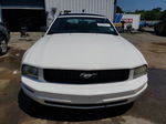 2008 Ford Mustang  Белый vin: 1ZVHT84N585140510