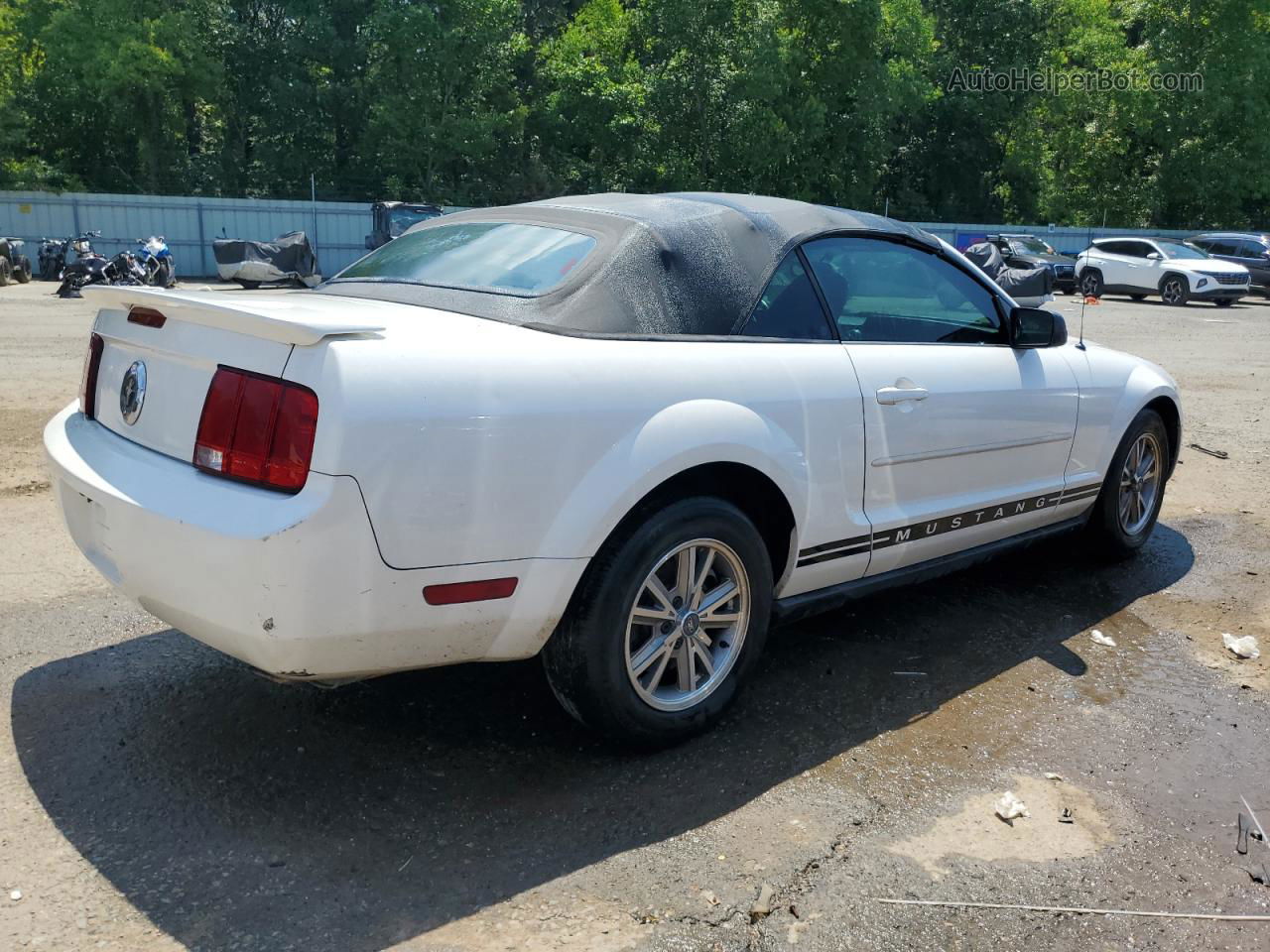 2008 Ford Mustang  White vin: 1ZVHT84N585140510