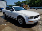 2008 Ford Mustang  White vin: 1ZVHT84N585140510