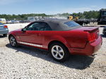 2008 Ford Mustang  Maroon vin: 1ZVHT84N585188993