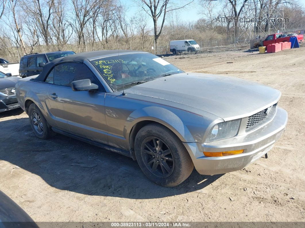 2008 Ford Mustang V6 Deluxe/v6 Premium Silver vin: 1ZVHT84N685124669