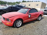 2008 Ford Mustang  Красный vin: 1ZVHT84N685153363