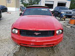 2008 Ford Mustang  Красный vin: 1ZVHT84N685153363