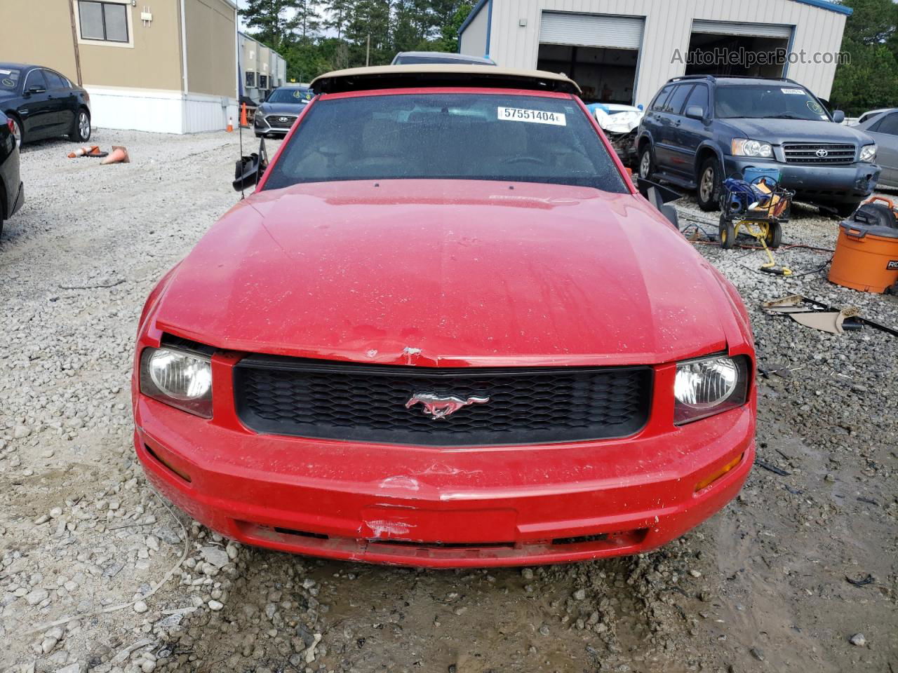 2008 Ford Mustang  Красный vin: 1ZVHT84N685153363