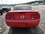 2008 Ford Mustang  Красный vin: 1ZVHT84N685153363