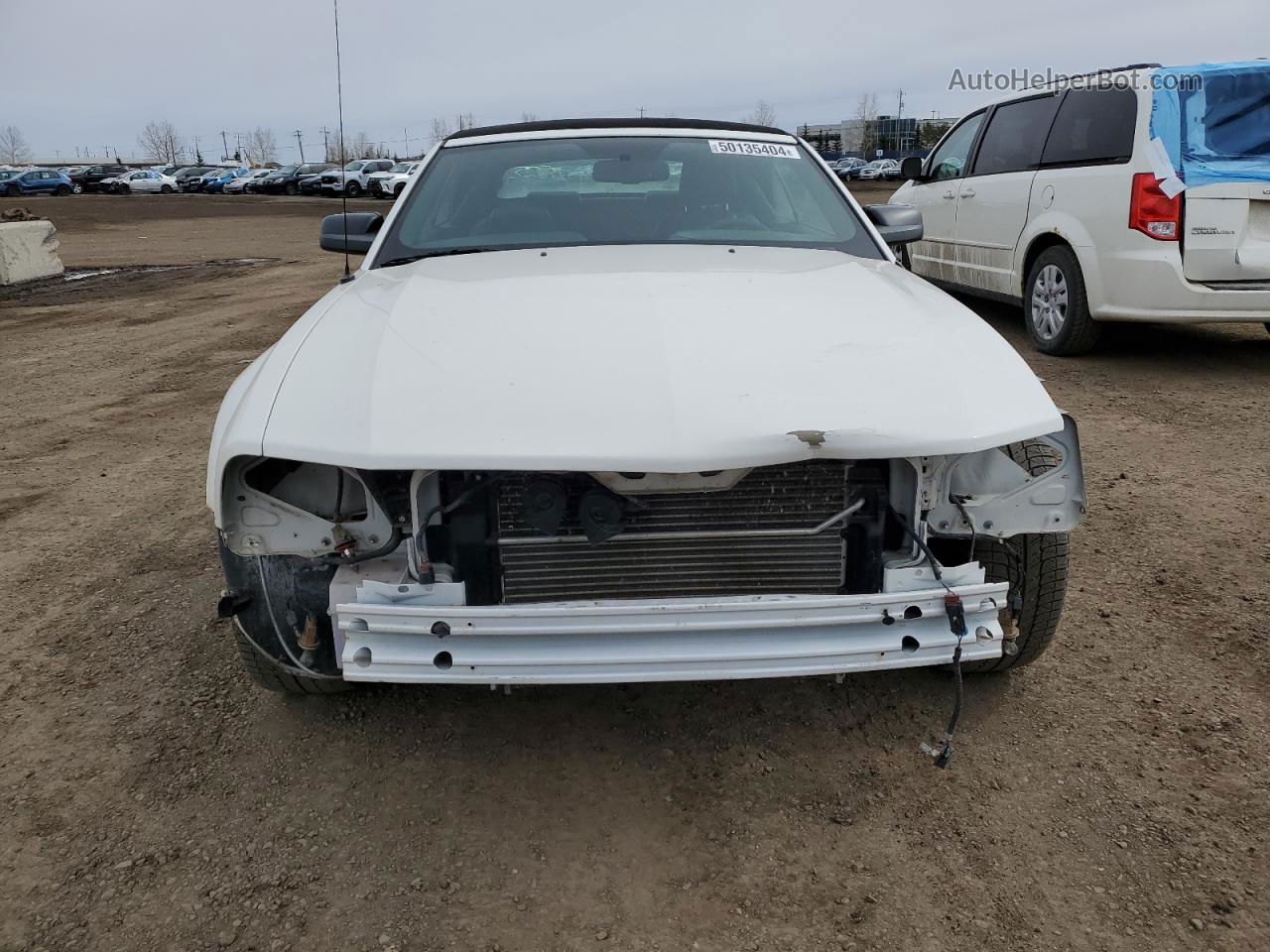 2008 Ford Mustang  White vin: 1ZVHT84N785146177