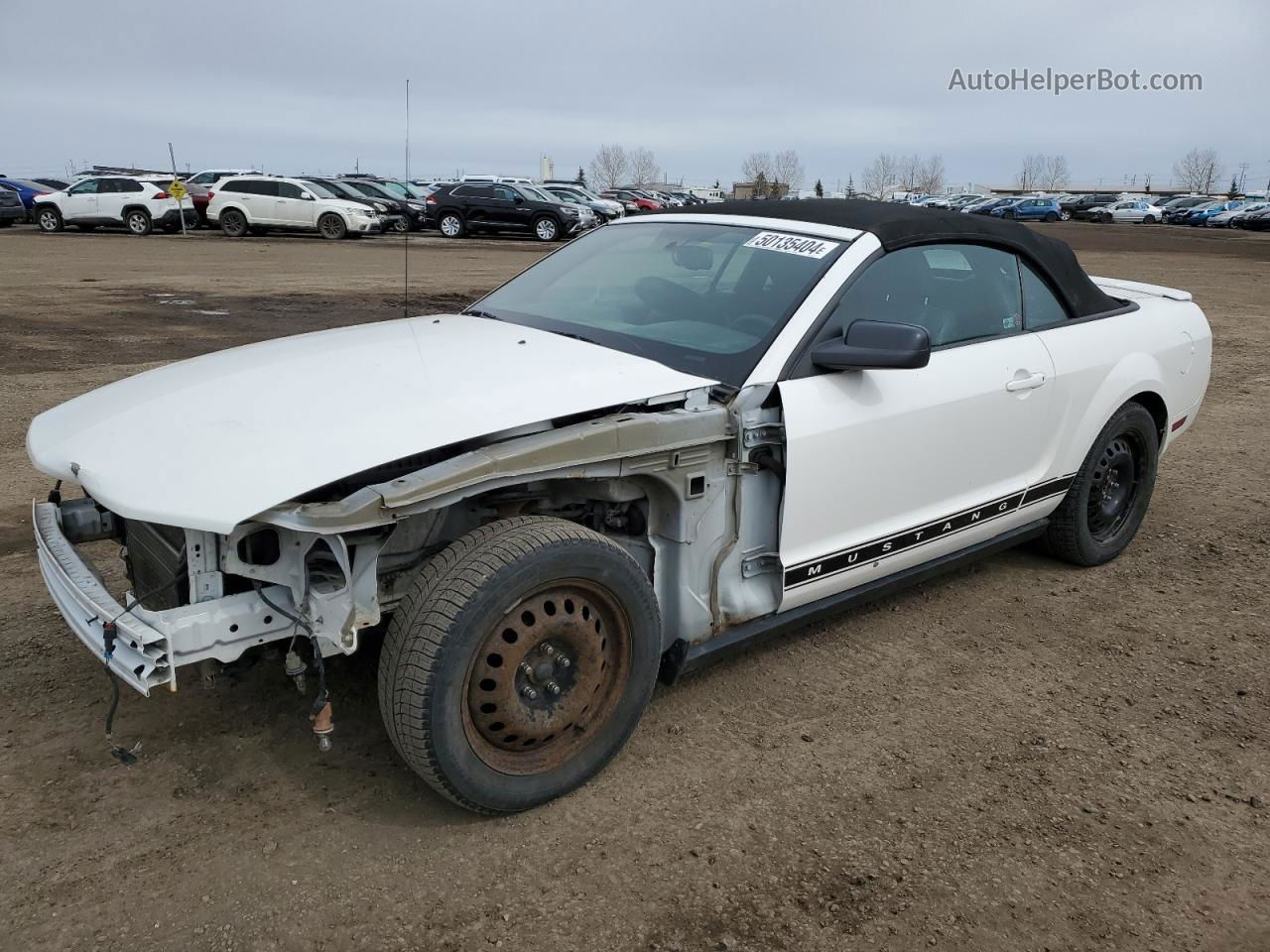 2008 Ford Mustang  White vin: 1ZVHT84N785146177