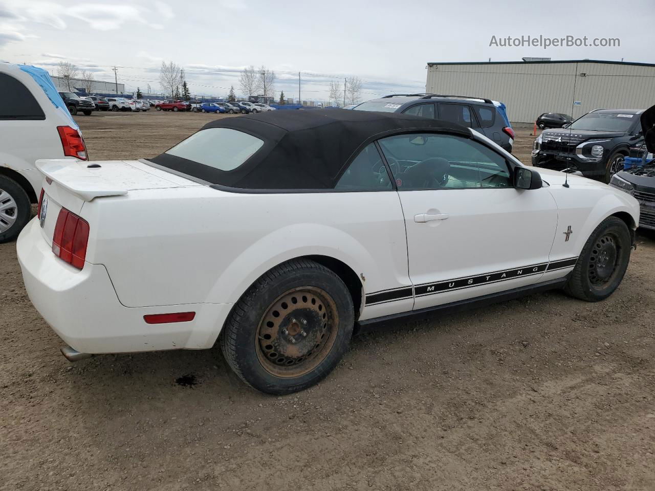 2008 Ford Mustang  White vin: 1ZVHT84N785146177