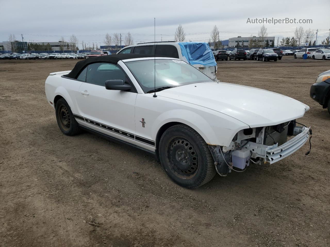 2008 Ford Mustang  White vin: 1ZVHT84N785146177