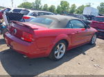 2008 Ford Mustang Gt Deluxe/gt Premium Maroon vin: 1ZVHT85H085182902