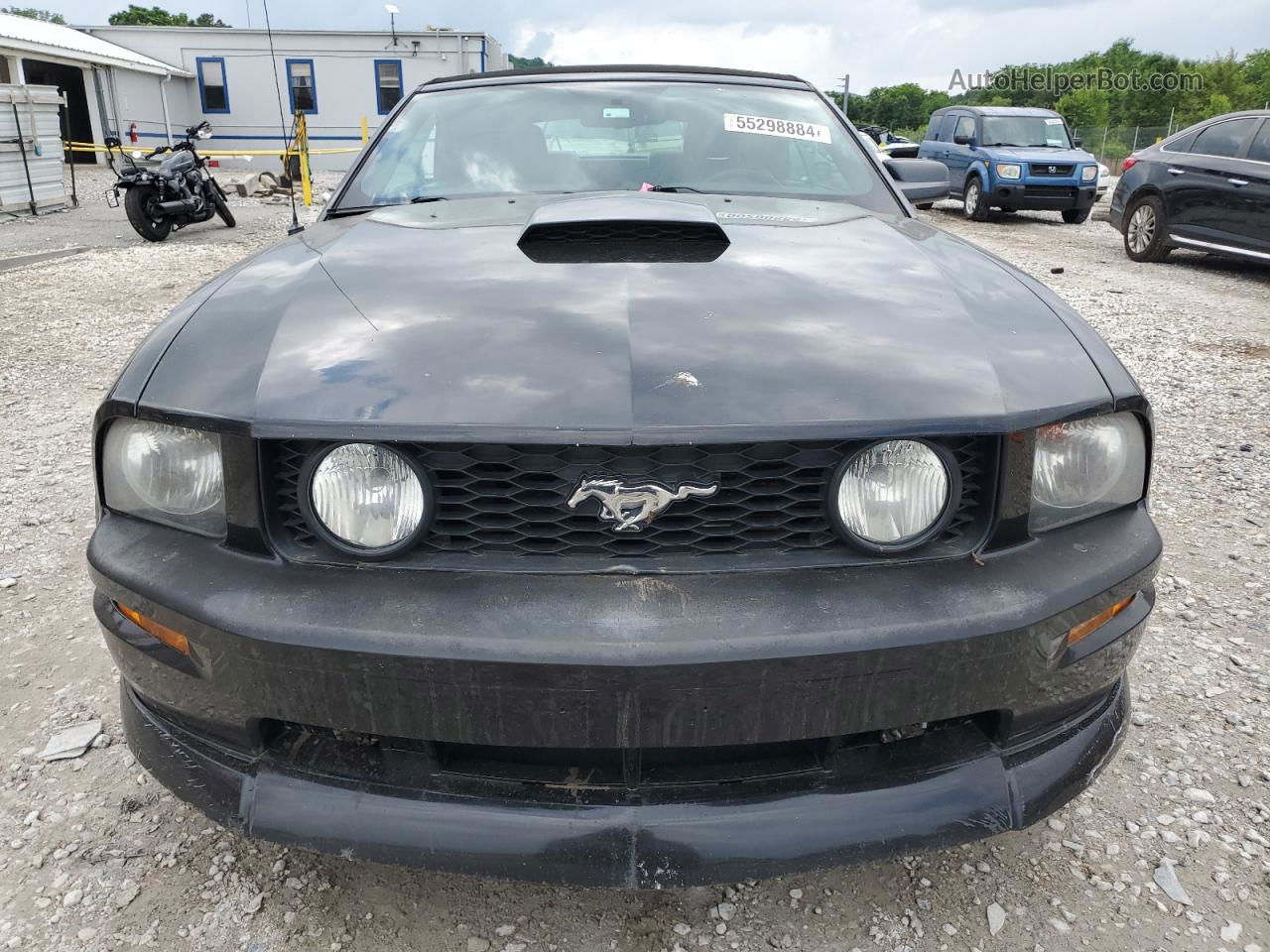 2008 Ford Mustang Gt Black vin: 1ZVHT85H385116618