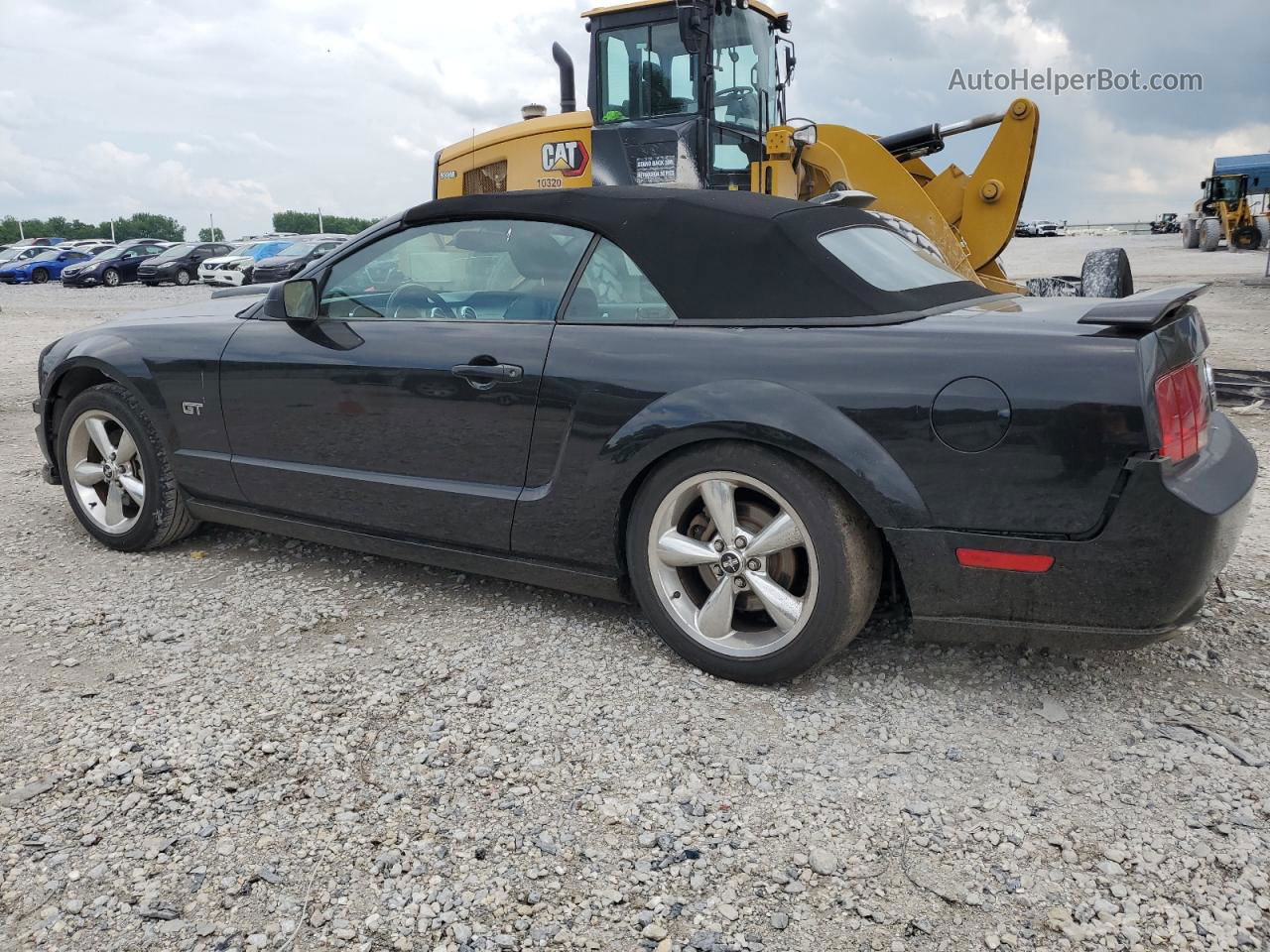 2008 Ford Mustang Gt Black vin: 1ZVHT85H385116618