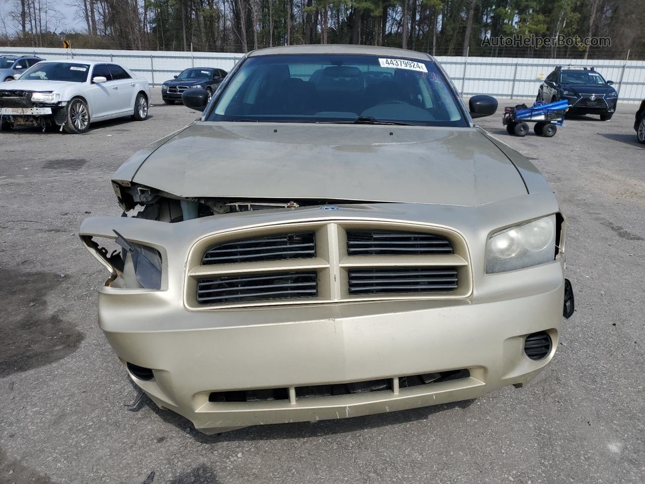 2010 Dodge Charger  Gold vin: 2B3AA4CT8AH188859