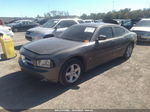 2010 Dodge Charger Sxt Tan vin: 2B3CA3CV0AH152801