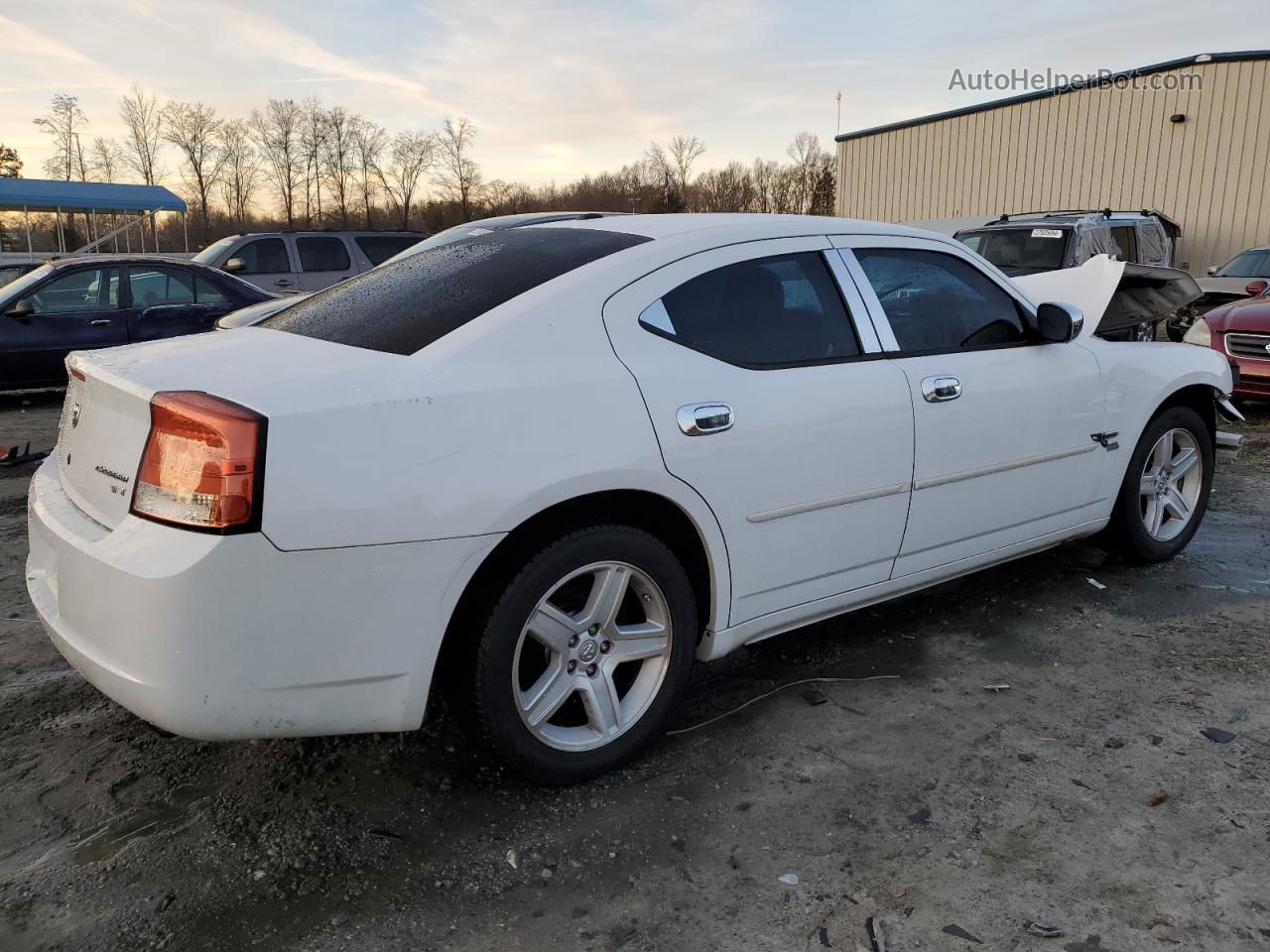 2010 Dodge Charger Sxt Белый vin: 2B3CA3CV1AH310059