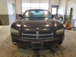 2010 Dodge Charger Sxt Black vin: 2B3CA3CV4AH301226