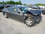 2010 Dodge Charger Sxt Gray vin: 2B3CA3CV6AH106776