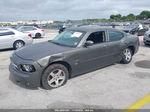 2010 Dodge Charger Sxt Gray vin: 2B3CA3CV6AH245533