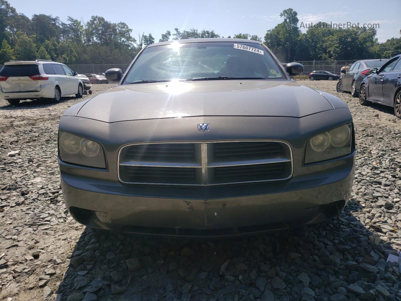 2010 Dodge Charger Sxt Gray vin: 2B3CA3CV7AH243970