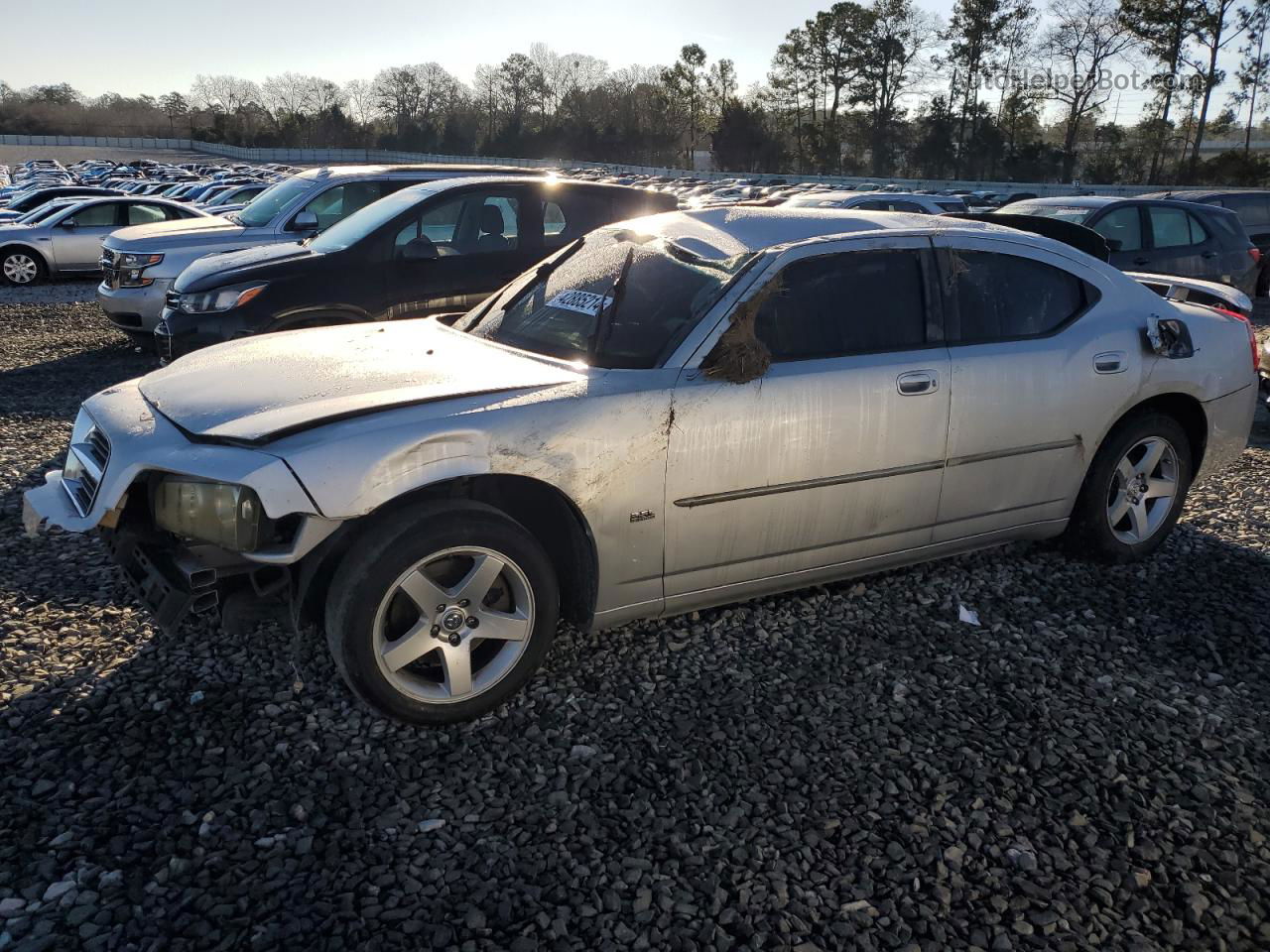 2010 Dodge Charger Sxt Silver vin: 2B3CA3CV8AH307501