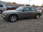 2010 Dodge Charger Sxt Brown vin: 2B3CA3CVXAH239993