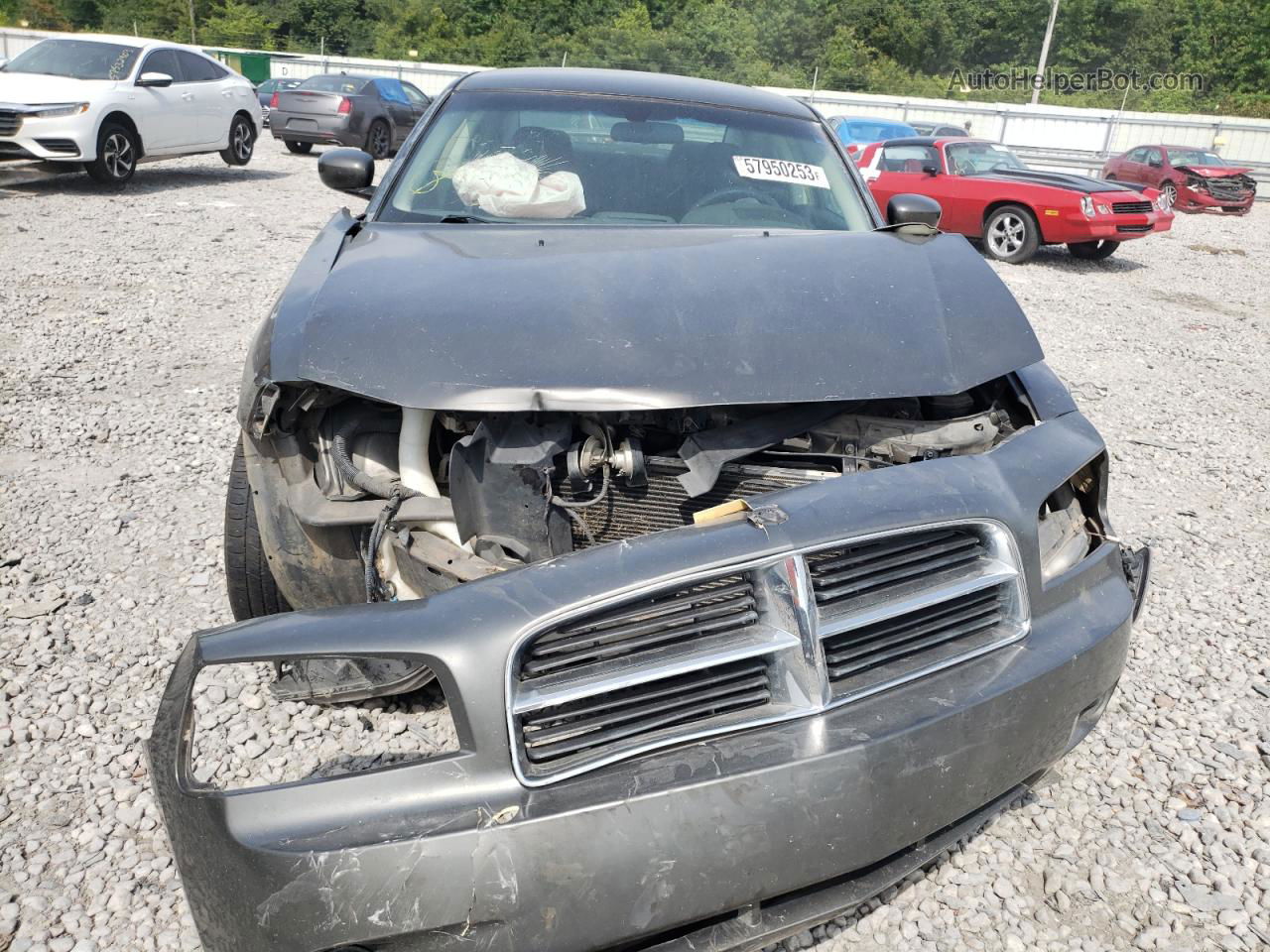 2010 Dodge Charger  Gray vin: 2B3CA4CD5AH110816