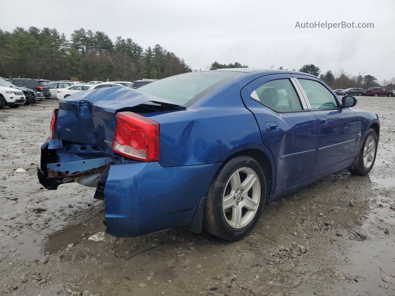 2010 Dodge Charger Rallye Blue vin: 2B3CA9CV0AH239195