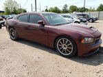 2006 Dodge Charger Srt-8 Burgundy vin: 2B3LA73W96H422034