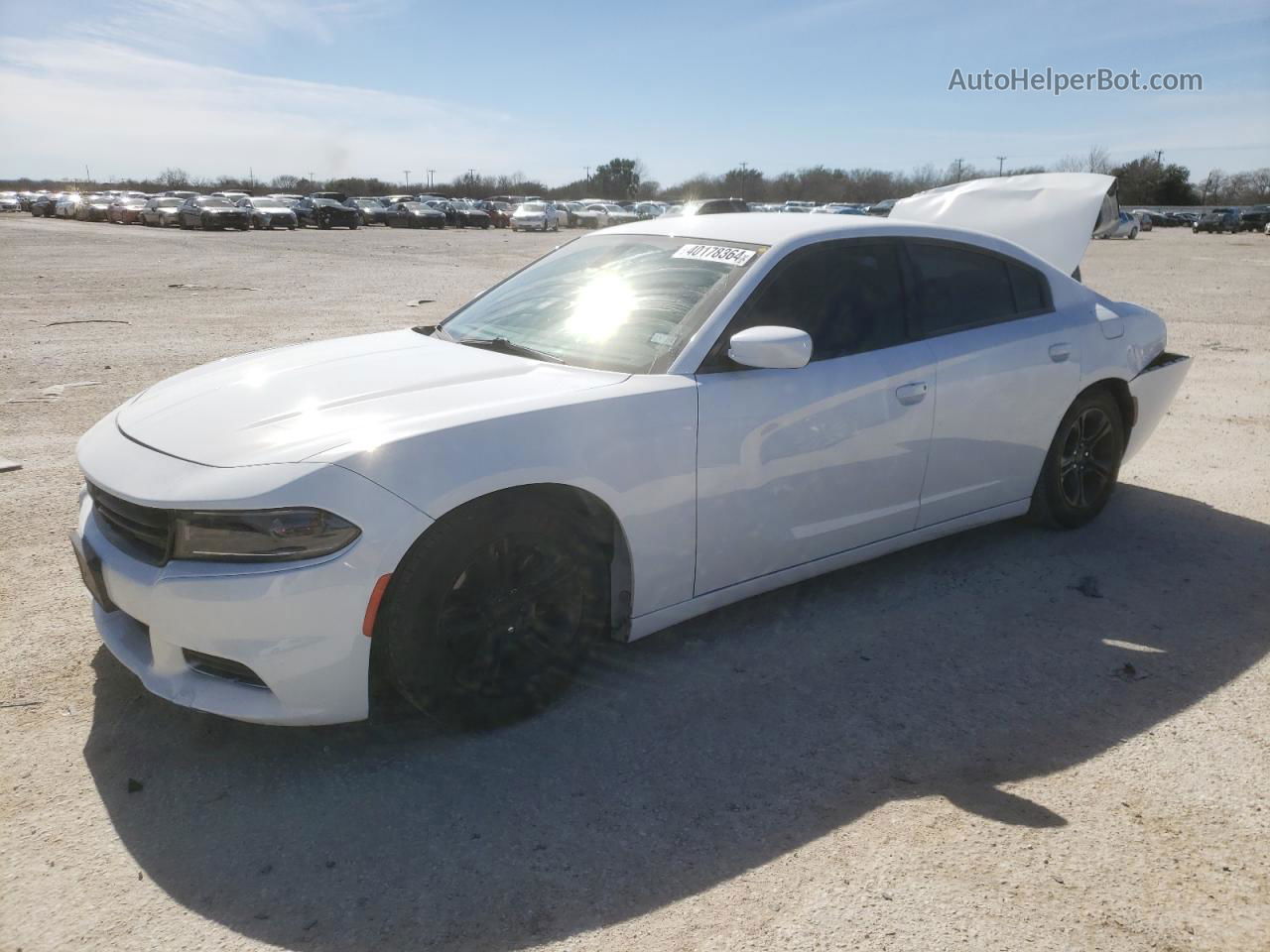 2021 Dodge Charger Sxt White vin: 2C3CDXBG1MH656119