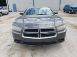 2014 Dodge Charger Se Серый vin: 2C3CDXBG2EH266678