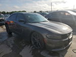 2021 Dodge Charger Sxt Gray vin: 2C3CDXBG2MH561682