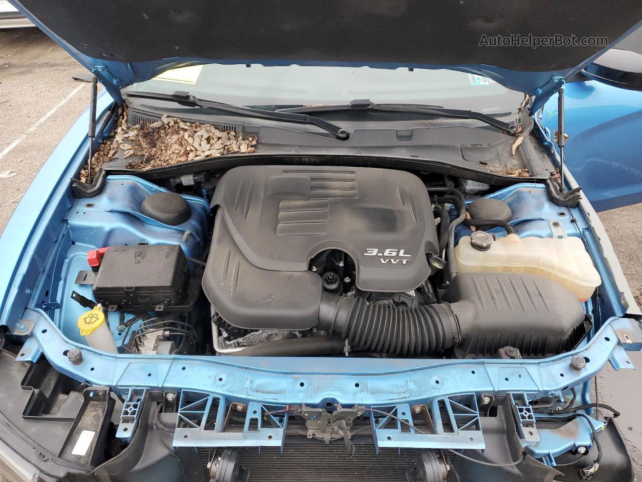 新品 未使用 タリホー 3シーズン 2019夏・2020秋・2020冬 トランプ GAINWARD GeForce RTX 5060 GHOST 8GB GDDR7 128bit 3-DP HDMI