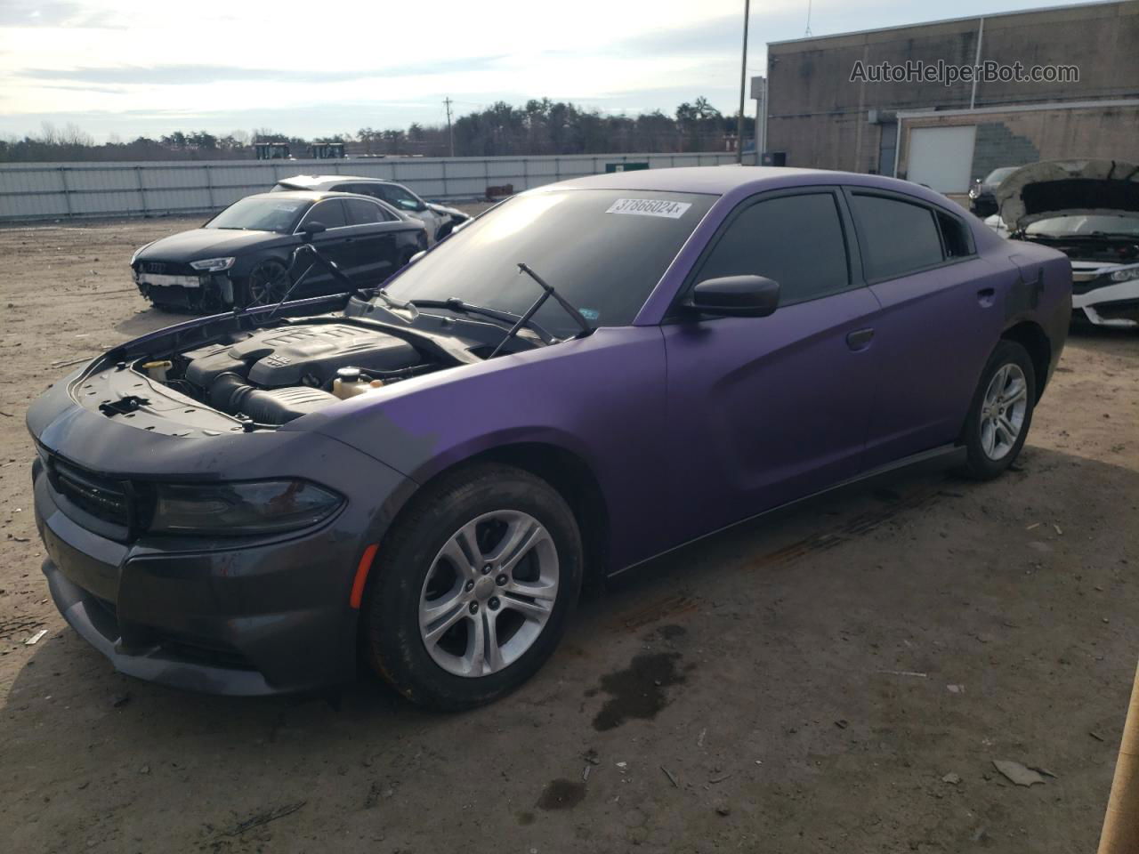 2016 Dodge Charger Se Purple vin: 2C3CDXBGXGH139759