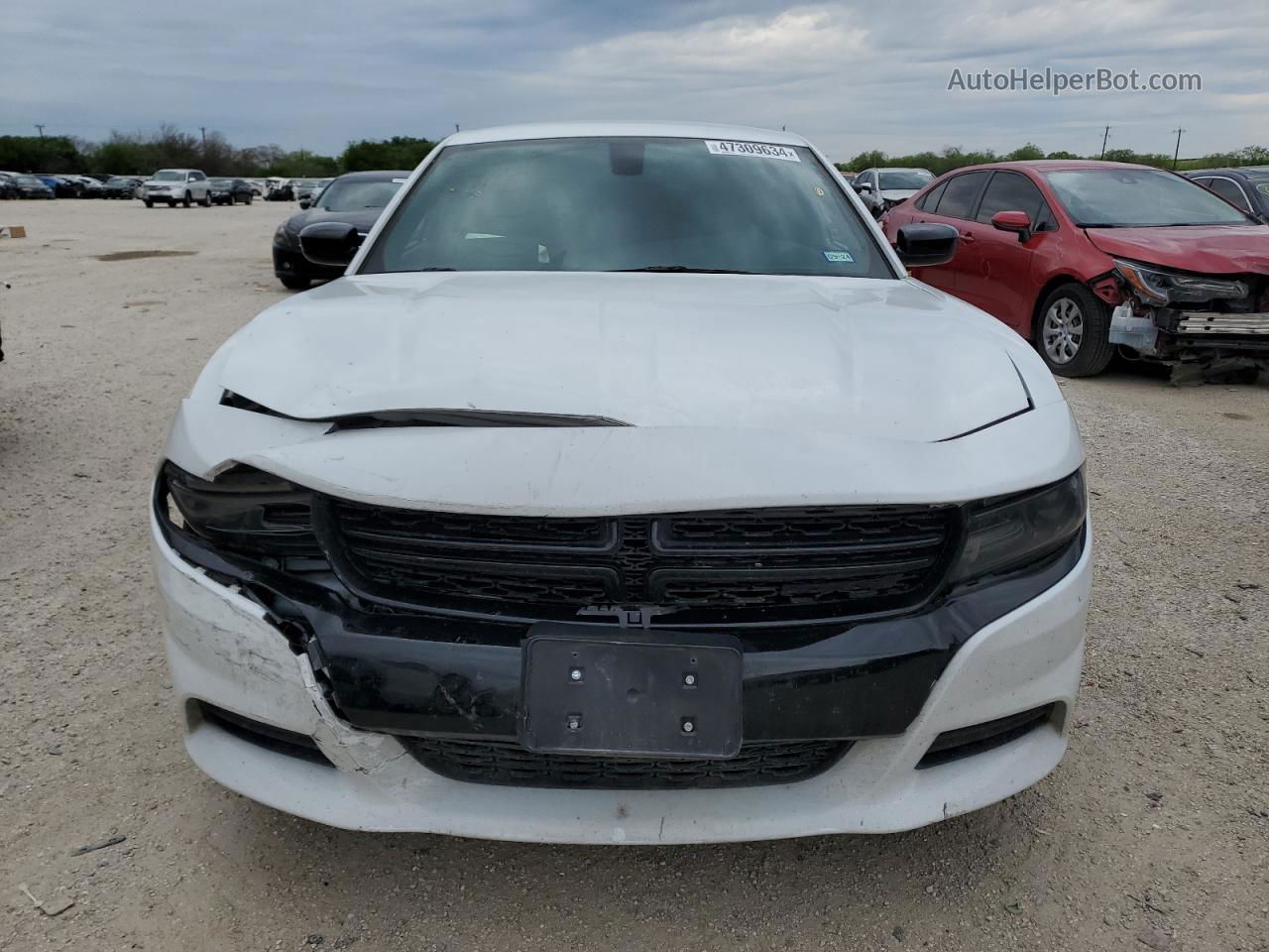 2021 Dodge Charger Sxt White vin: 2C3CDXBGXMH629260