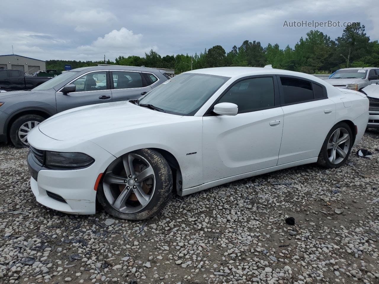 2016 Dodge Charger R/t Белый vin: 2C3CDXCT0GH222550