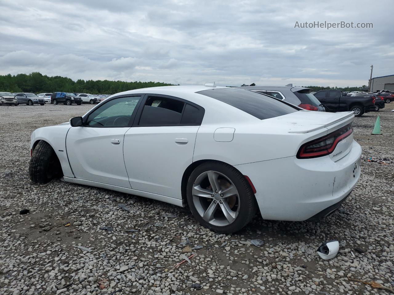 2016 Dodge Charger R/t Белый vin: 2C3CDXCT0GH222550