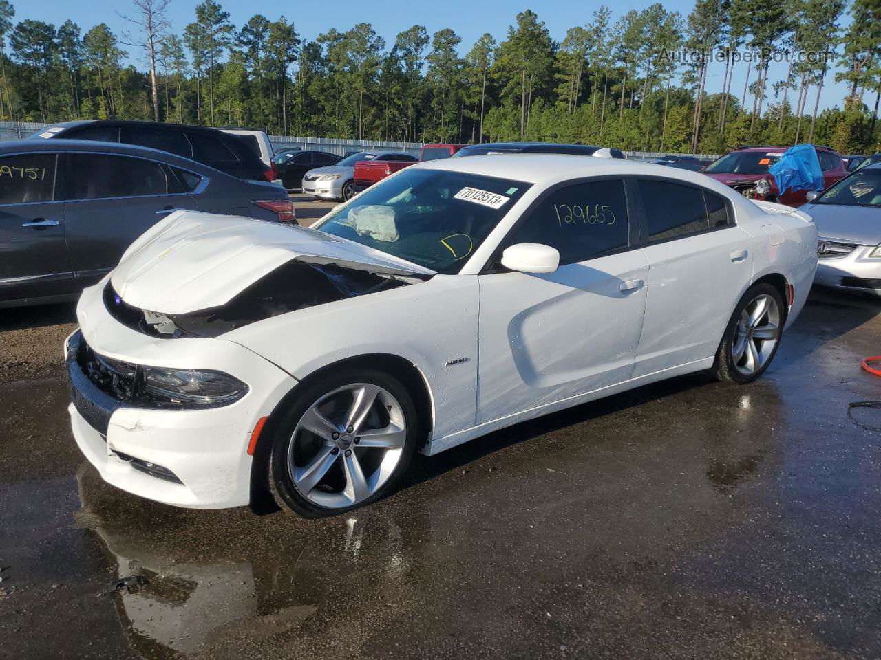 2017 Dodge Charger R/t White vin: 2C3CDXCT0HH562556