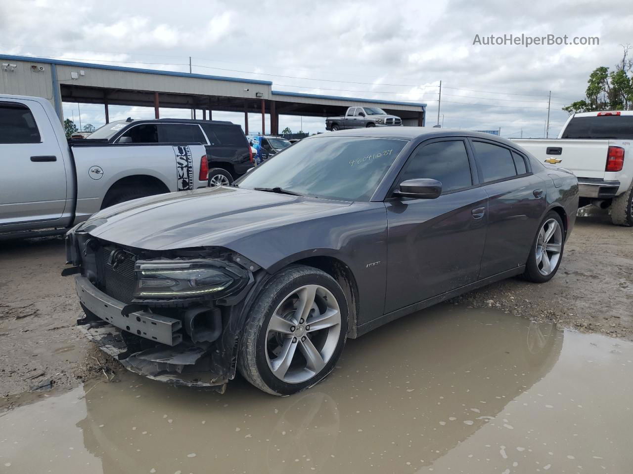 2016 Dodge Charger R/t Gray vin: 2C3CDXCT2GH272351