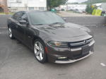 2017 Dodge Charger R/t Gray vin: 2C3CDXCT4HH520097